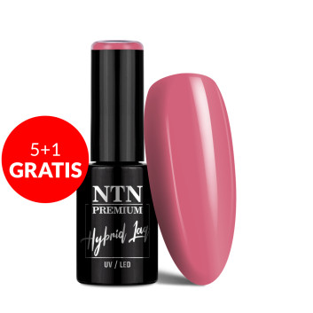 5+1gratis Lakier hybrydowy NTN Premium Uptown Girl Collection 5g Nr 23