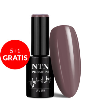 5+1gratis Lakier hybrydowy NTN Premium Topless Collection 5G NR 11