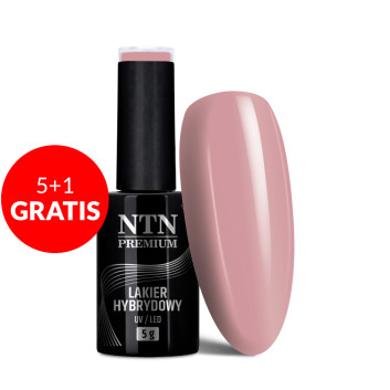 5+1gratis Lakier hybrydowy Ntn Premium Romantica Collection 5g Nr 106