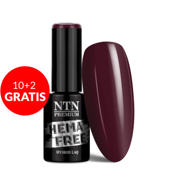 10+2gratis Lakier hybrydowy Ntn Premium Show Collection HEMA/Di-HEMA Free 5 g Nr 113