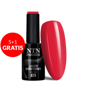 5+1gratis Lakier hybrydowy Ntn Premium Splash Collection 5g Nr 126