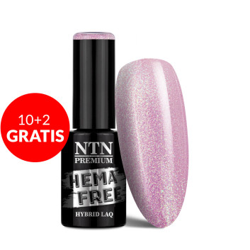 10+2gratis Lakier hybrydowy Ntn Premium Delight Sorbet Collection HEMA/Di-HEMA Free 5g Nr 149