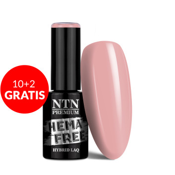 10+2gratis Lakier hybrydowy NTN Premium Uptown Girl Collection HEMA/Di-HEMA Free 5g Nr 22