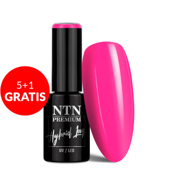 5+1gratis Lakier hybrydowy NTN Premium Delight Sorbet Collection 5g Nr 151