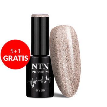 5+1gratis Lakier hybrydowy Ntn Premium Celebration Collection 5g Nr 167