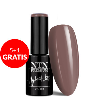 5+1gratis Lakier hybrydowy Ntn Premium Milkshake 5g Nr 312