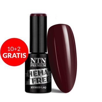 10+2gratis Lakier hybrydowy Ntn Premium Oriental Delice HEMA/Di-HEMA Free 5g Nr 267