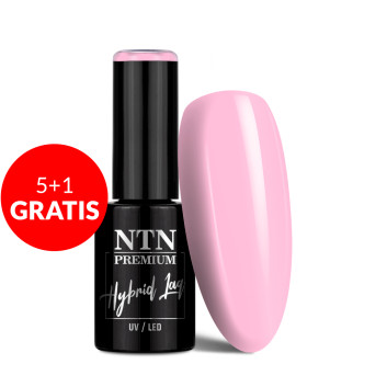 5+1gratis Lakier hybrydowy NTN Premium Dessert Collection 5g Nr 93