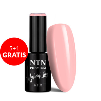 5+1gratis Lakier hybrydowy Ntn Premium Soft Touch Collection 5g Nr 02