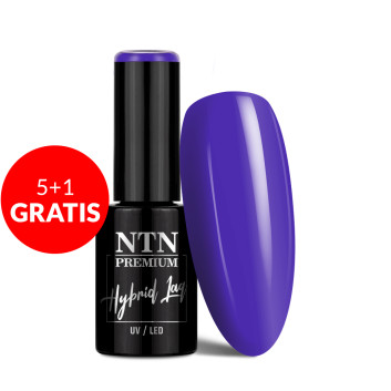 5+1gratis Lakier hybrydowy NTN Premium Fiesta Collection 5g Nr 75