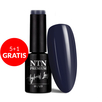 5+1gratis Lakier hybrydowy NTN Premium Romantica Collection 5g Nr 101