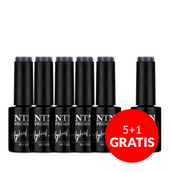 5+1gratis Lakier hybrydowy NTN Premium Romantica Collection 5g Nr 101