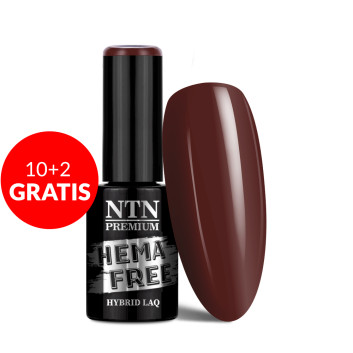 10+2gratis Lakier hybrydowy NTN Premium Show Collection HEMA/Di-HEMA Free 5g Nr 112