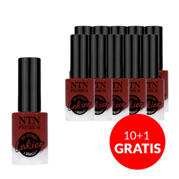 10+1gratis Lakier do stempli i blaszek NTN Premium bordowy 7ml Nr 100