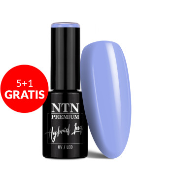 5+1gratis Lakier hybrydowy NTN Premium Delight Sorbet Collection 5g Nr 145