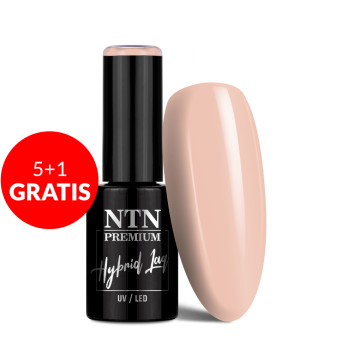 5+1gratis Lakier hybrydowy NTN Premium Topless Collection 5g Nr 17