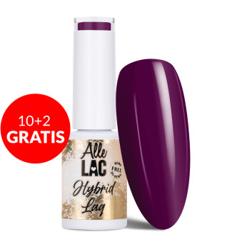 10+2gratis Lakier hybrydowy AlleLac Marocco Collection HEMA/Di-HEMA Free 5g Nr 60