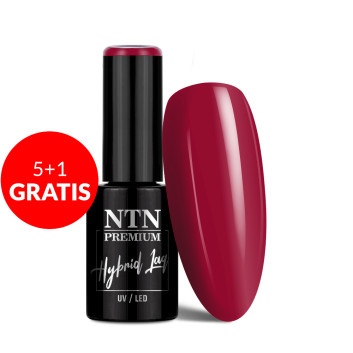 5+1gratis Lakier hybrydowy Ntn Premium Show Collection 5g Nr 114