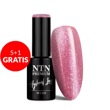 5+1gratis Lakier hybrydowy NTN Premium Day Dreaming Collection 5g Nr 55