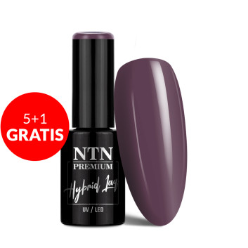 5+1gratis Lakier hybrydowy NTN Premium Seductive Collection 5g Nr 134