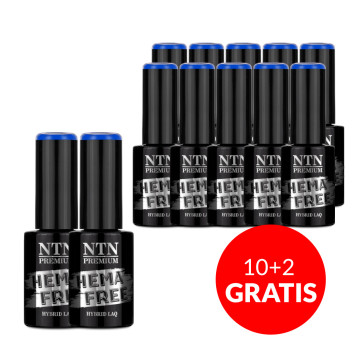 10+2gratis Lakier hybrydowy NTN Premium Springtime selfie HEMA/Di-HEMA Free 5g Nr 287