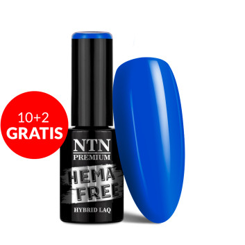 10+2gratis Lakier hybrydowy NTN Premium Springtime selfie HEMA/Di-HEMA Free 5g Nr 287