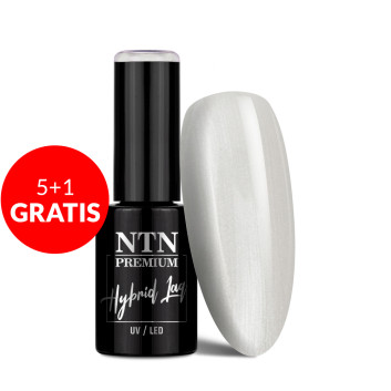 5+1gratis Lakier hybrydowy Ntn Premium Impression 5g Nr 260
