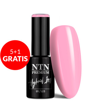 5+1gratis Lakier hybrydowy NTN Premium Springtime selfie 5g Nr 284
