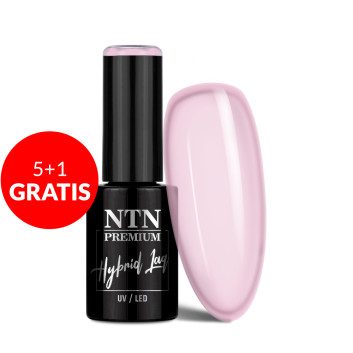 5+1gratis Lakier hybrydowy Ntn Premium Ambrosia Collection 5g Nr 160