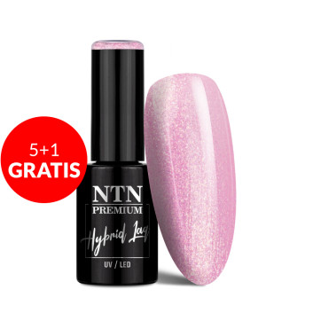 5+1gratis Lakier hybrydowy NTN Premium Birthday Party Collection 5g Nr 48