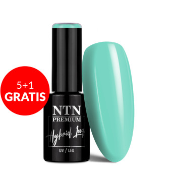 5+1gratis Lakier hybrydowy NTN Premium California Collection 5g Nr 137