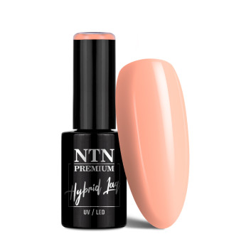 Lakier hybrydowy NTN Premium Limited Edition 5g Nr 333