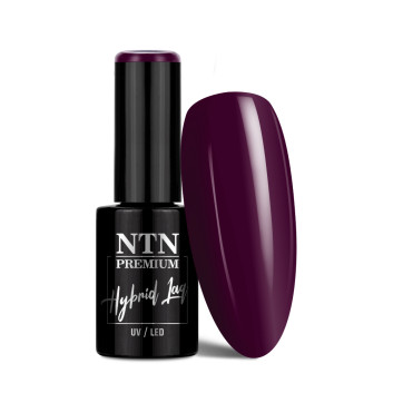 Lakier hybrydowy NTN Premium Limited Edition 5g Nr 356