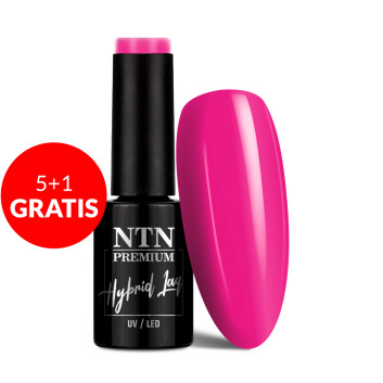 5+1gratis Lakier hybrydowy NTN Premium Design Your Style Collection 5g Nr 40