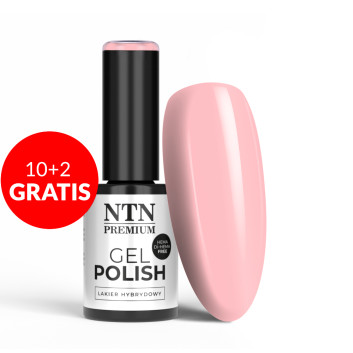 10+2gratis Lakier hybrydowy Ntn Premium Delicate French HEMA/Di-HEMA Free 5g Nr 301