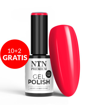 10+2gratis Lakier hybrydowy Ntn Premium California Collection HEMA/Di-HEMA Free 5g Nr 139