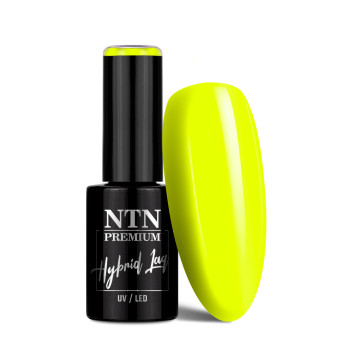 Lakier hybrydowy NTN Premium Limited Edition 5g Nr 378