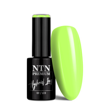 Lakier hybrydowy NTN Premium Limited Edition 5g Nr 379