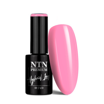Lakier hybrydowy NTN Premium Limited Edition 5g Nr 386