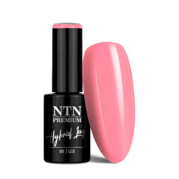 Lakier hybrydowy NTN Premium Limited Edition 5g Nr 385