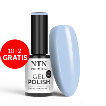 10+2gratis Lakier hybrydowy Ntn Premium Soft Touch Collection HEMA/Di-HEMA Free 5g Nr 06