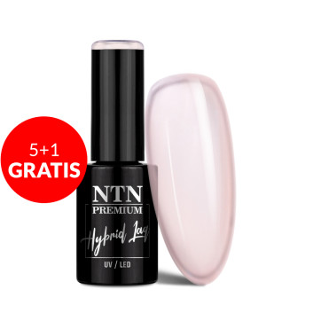 5+1gratis Lakier hybrydowy Ntn Premium Impression 5g Nr 261