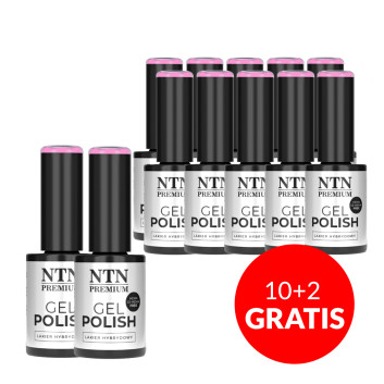 10+2gratis Lakier hybrydowy NTN Premium Splash Collection HEMA/Di-HEMA Free 5g Nr 124