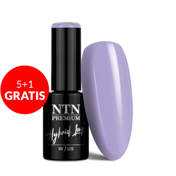 5+1gratis Lakier hybrydowy NTN Premium Dessert Collection 5g Nr 94