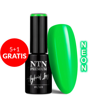5+1gratis Lakier hybrydowy NTN Premium Delight Sorbet Collection Neon 5g Nr 146