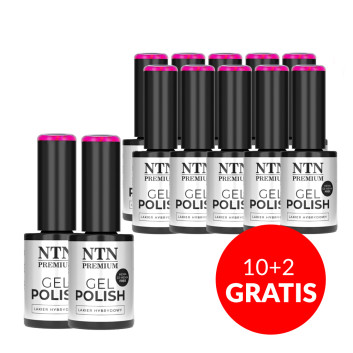 10+2gratis Lakier hybrydowy NTN Premium Impression Neon HEMA/Di-HEMA Free 5g Nr 255