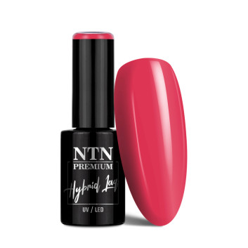 Lakier hybrydowy NTN Premium Celebration Collection 5g Nr 165