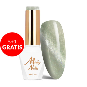 5+1gratis Magnetyczny lakier hybrydowy z efektem kociego oka Cat Eye Crystal Water Molly Nails 8g Nr 162
