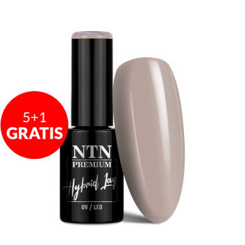 5+1gratis Lakier hybrydowy NTN Premium Topless Collection 5g Nr 10