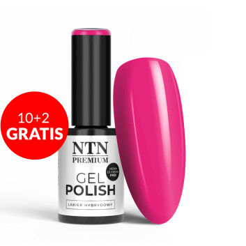10+2gratis Lakier hybrydowy NTN Premium Design Your Style Collection HEMA/Di-HEMA Free 5g Nr 40